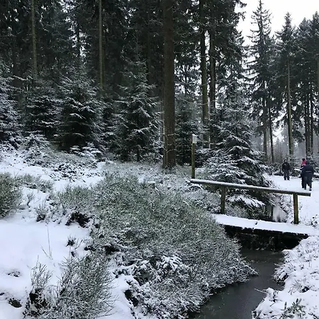 Hahnenklee 7-511 Lejlighed Goslar