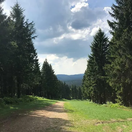 Apartmán Hahnenklee 7-511