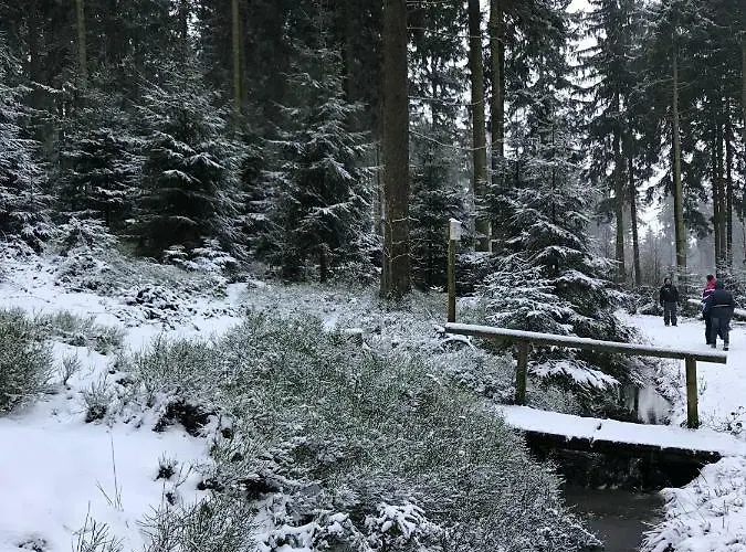 Hahnenklee 7-511 Daire Goslar