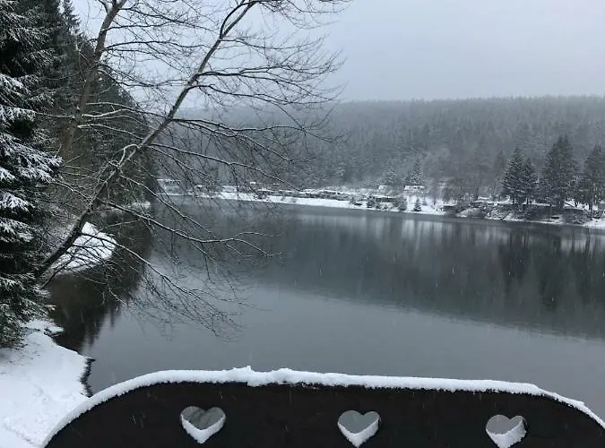 Daire Hahnenklee 7-511