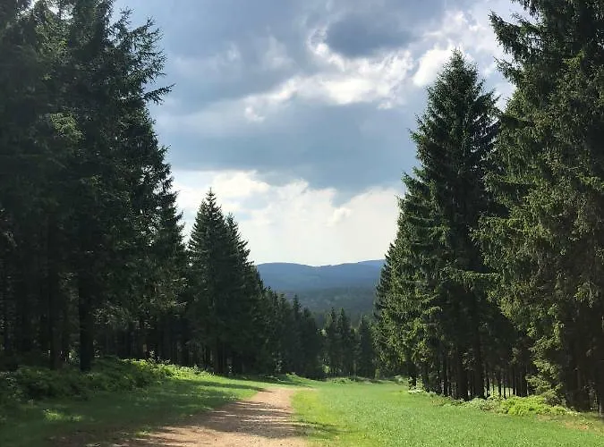 Daire Hahnenklee 7-511