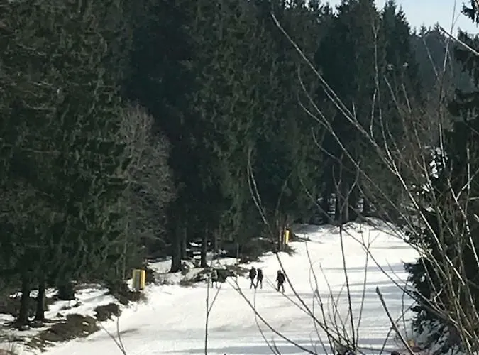 Daire Hahnenklee 7-511 *